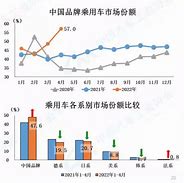 观点中国汽车市场面临挑战